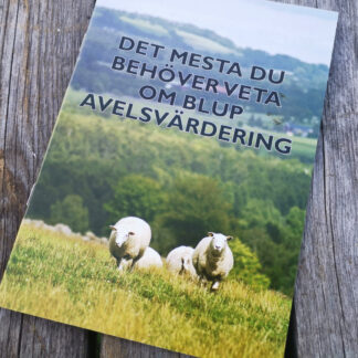 BLUP – Det mesta du behöver veta om avelsvärden