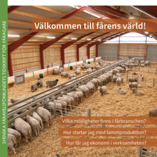 Specialnummer av Fårskötsel om att starta med får