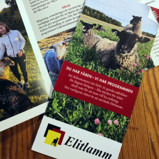 Elitlammfolder